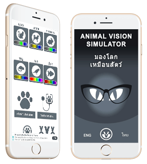 animal-vision-img